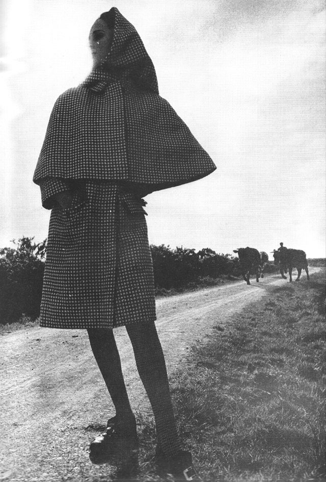 Harpers Bazaar August 1965 cows