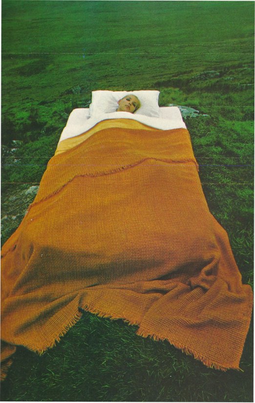 bedspread-by-robert-eadie